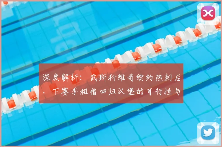 深度解析:武斯科维奇续约热刺后,下赛季租借回归汉堡的可行性与前景