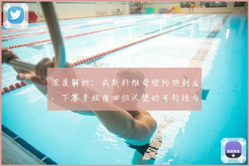 深度解析:武斯科维奇续约热刺后,下赛季租借回归汉堡的可行性与前景